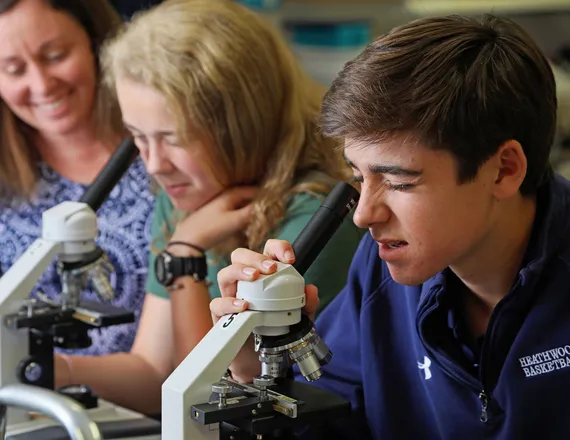 Read more about Honors Science Research Program
